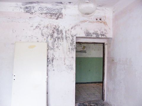 Foto 47
